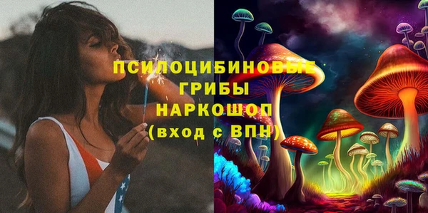ECSTASY Алексин
