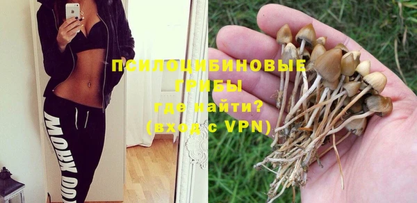 ALPHA PVP Алзамай
